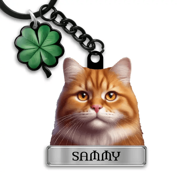 Domestic cat Schlüsselanhänger personalisiert mit Haustier u. Namen!