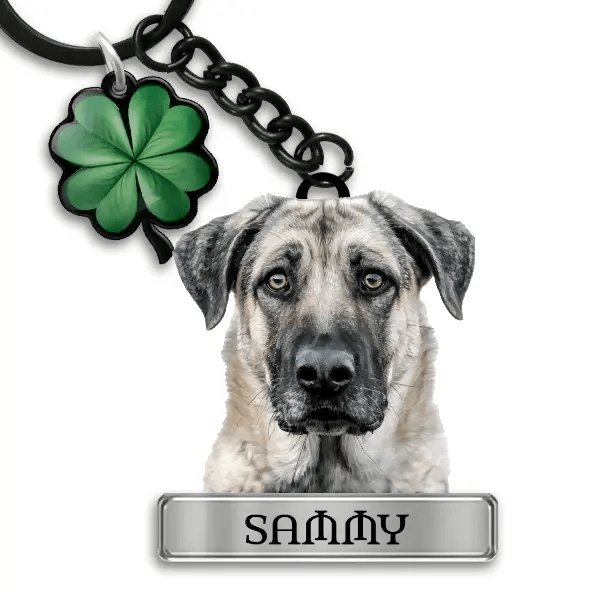 Kangal Shepherd Dog Schlüsselanhänger personalisiert mit Haustier u. Namen!