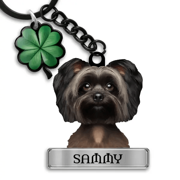 Affenpinscher Schlüsselanhänger personalisiert mit Haustier u. Namen!