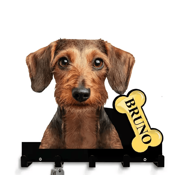 Wirehaired Dachshund Schlüsselbrett personalisiert mit Haustier u. Namen!