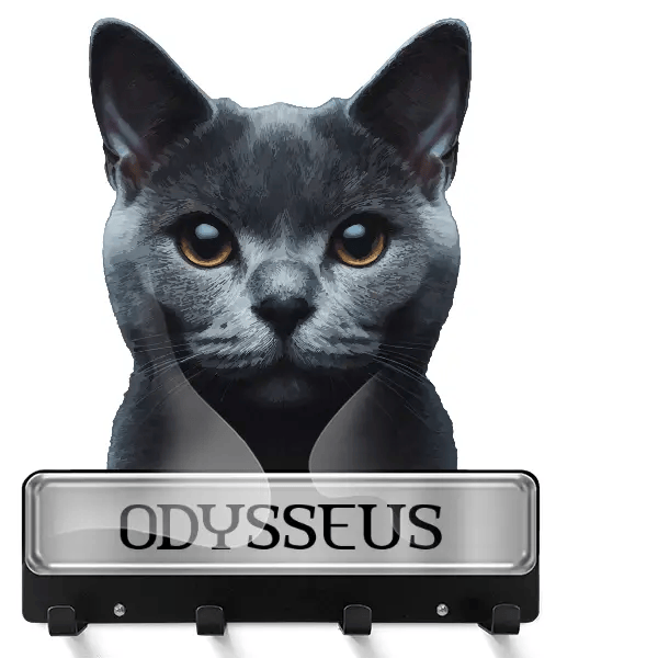 Chartreux Schlüsselbrett mit deinem Haustier und Namen!