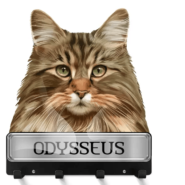 Norwegian Forest cat Schlüsselbrett mit deinem Haustier und Namen!