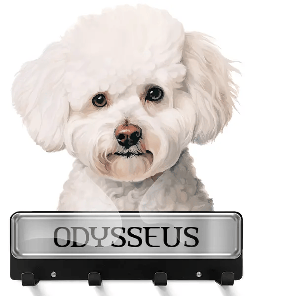 Bichon Frise Schlüsselbrett mit deinem Haustier und Namen!