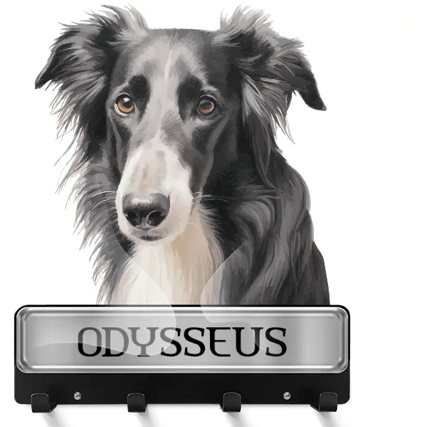 Borzoi Schlüsselbrett mit deinem Haustier und Namen!