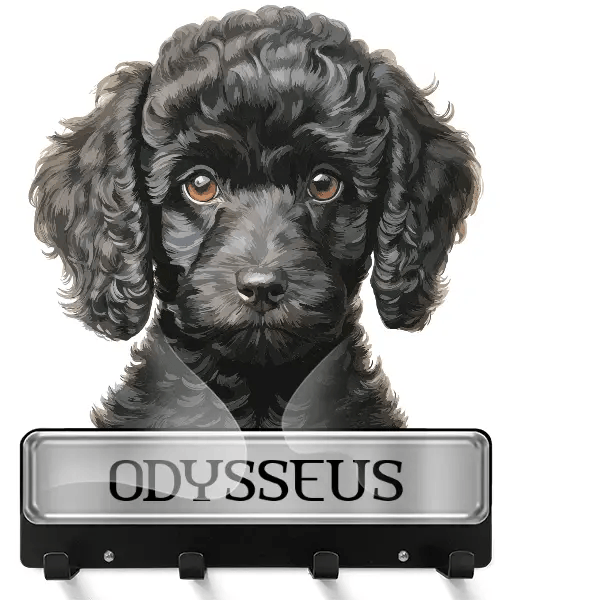 Poodle Schlüsselbrett mit deinem Haustier und Namen!