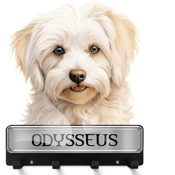 Coton de Tulear Schlüsselbrett mit deinem Haustier und Namen!