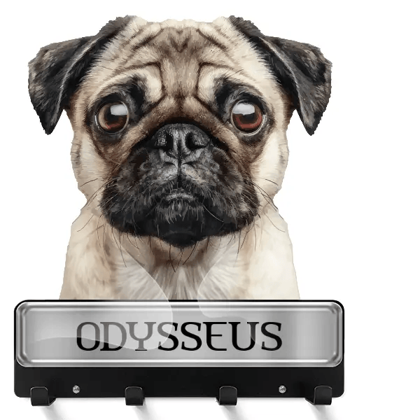 Mops Schlüsselbrett mit deinem Haustier und Namen!