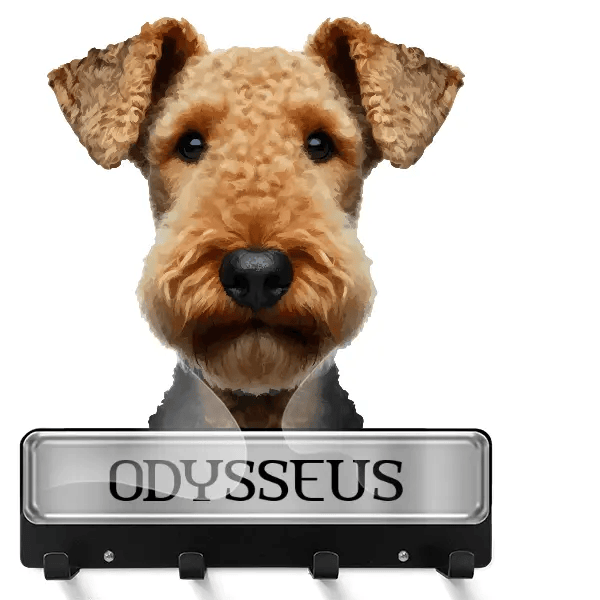 Airedale Terrier Schlüsselbrett mit deinem Haustier und Namen!