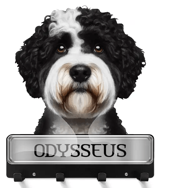 Spanish Water Dog Schlüsselbrett mit deinem Haustier und Namen!