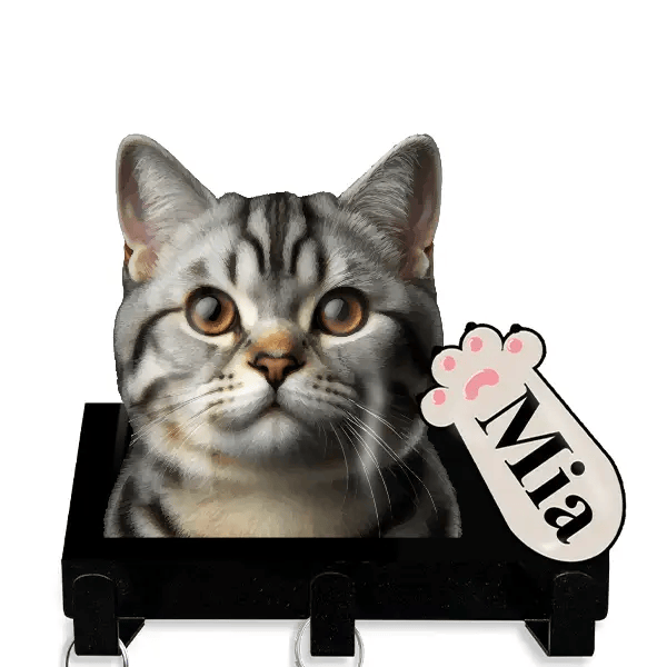 American Shorthair Leinenhalter personalisiert mit Haustier u. Namen!