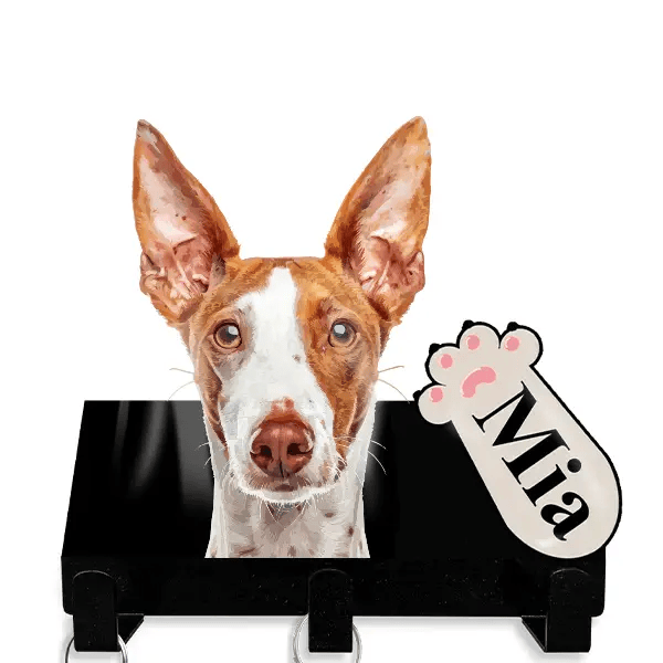 Ibizan Hound Leinenhalter personalisiert mit Haustier u. Namen!