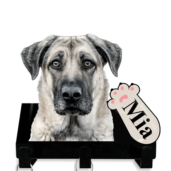 Kangal Shepherd Dog Leinenhalter personalisiert mit Haustier u. Namen!