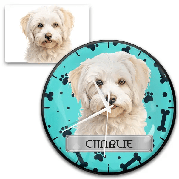 Coton de Tulear Wanduhr personalisiert mit Haustier u. Namen!