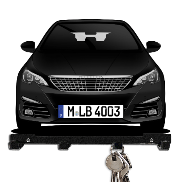 308 Schlüsselboard personalisiert mit Auto u. Kennzeichen!