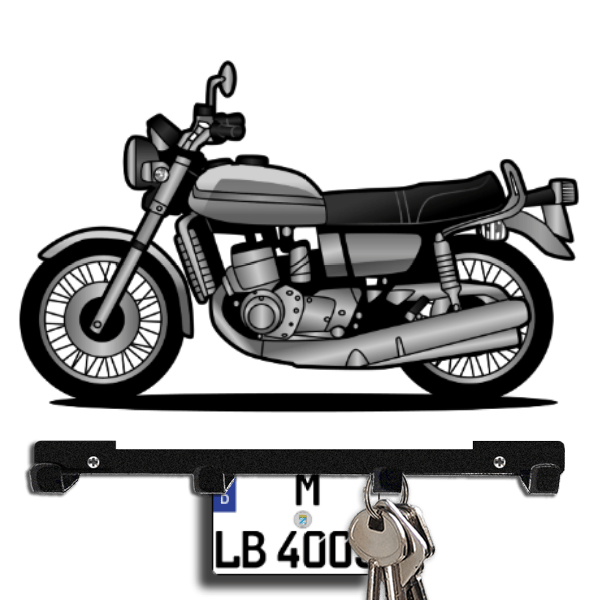 GT 750 Schlüsselboard personalisiert mit Auto u. Kennzeichen!