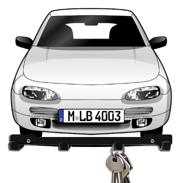 100 NX Schlüsselboard personalisiert mit Auto u. Kennzeichen!