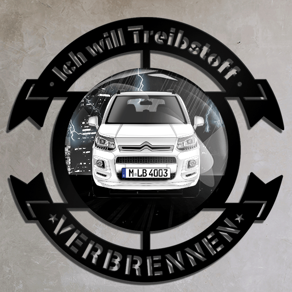 C3 Picasso Wand Dekoration personalisiert mit deinem Auto u. Kennzeichen!