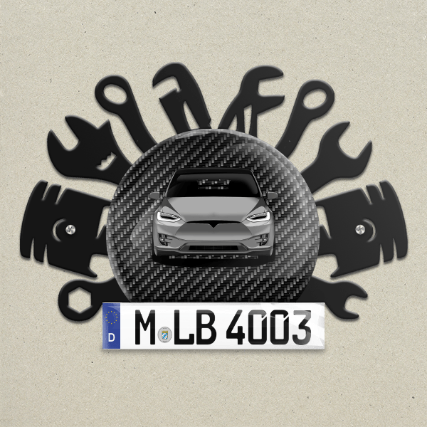 Model X Wand Dekoration aus Metall personalisiert mit deinem Auto u. Kennzeichen!