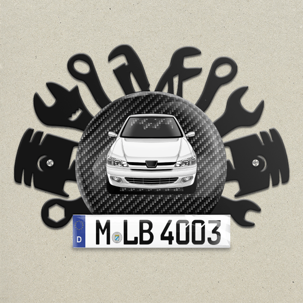306 Wand Dekoration aus Metall personalisiert mit deinem Auto u. Kennzeichen!