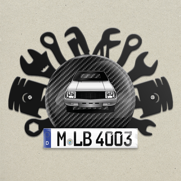 14 (5-Türer) Wand Dekoration aus Metall personalisiert mit deinem Auto u. Kennzeichen!