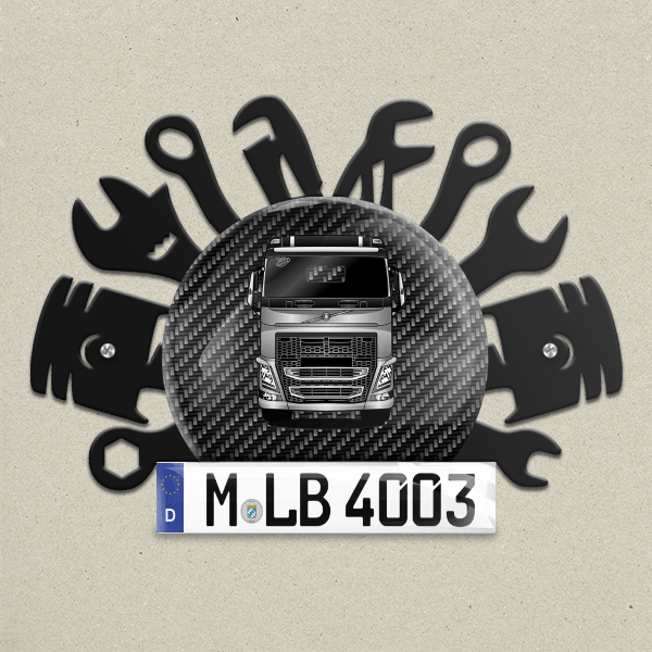 FH16 540 Wand Dekoration aus Metall personalisiert mit deinem LKW u. Kennzeichen!