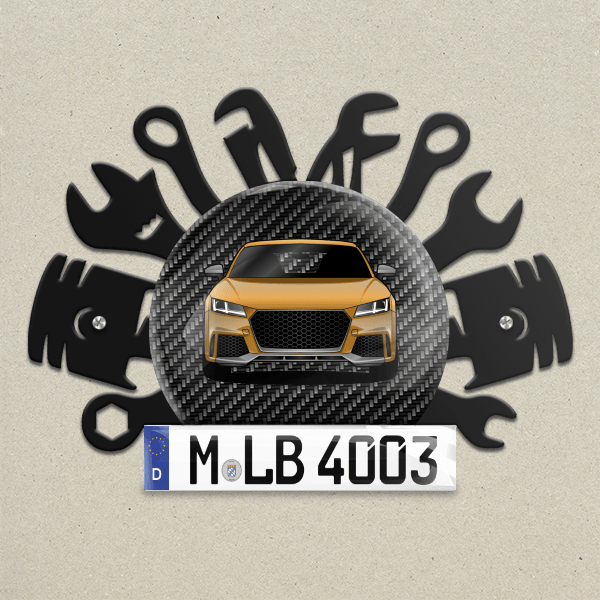 TT RS Wand Dekoration aus Metall personalisiert mit deinem Auto u. Kennzeichen!