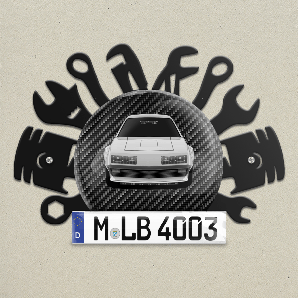 A310 Wand Dekoration aus Metall personalisiert mit deinem Auto u. Kennzeichen!