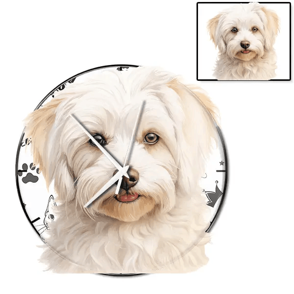 Coton de Tulear Wanduhr personalisiert mit genau deinem Haustier!